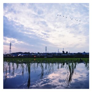 鸣人❌雏田❌狂揉难受
